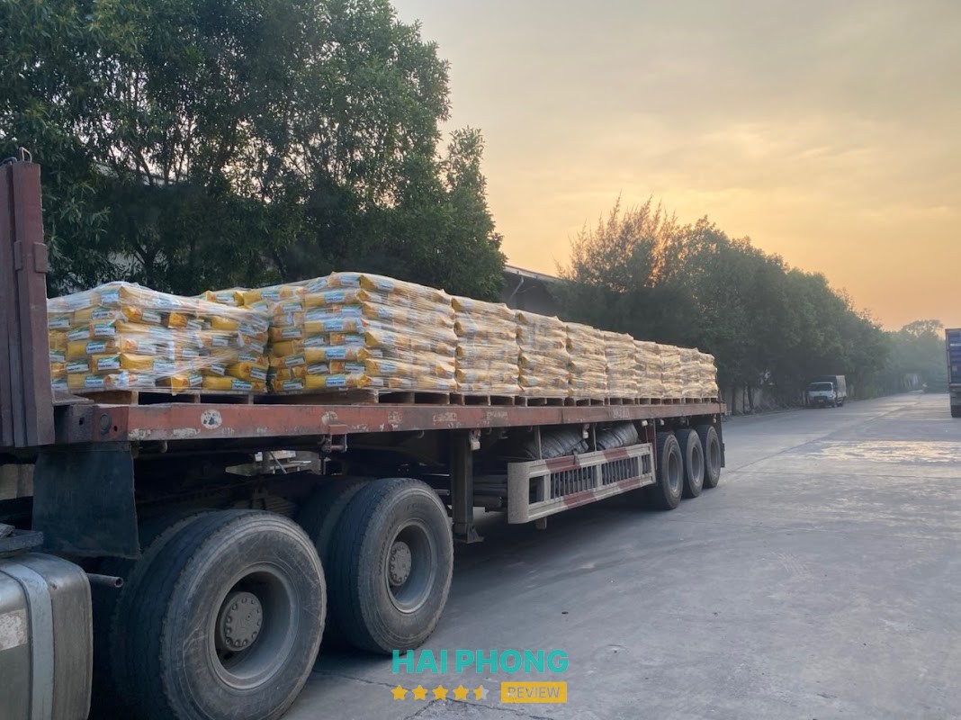 Tổng Kho chống thấm sika Hải Dương - ảnh 3